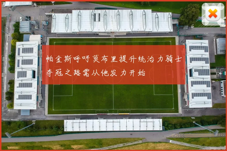 帕金斯呼吁莫布里提升统治力骑士夺冠之路需从他发力开始