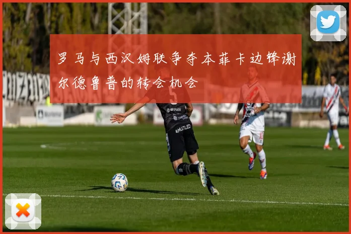 罗马与西汉姆联争夺本菲卡边锋谢尔德鲁普的转会机会