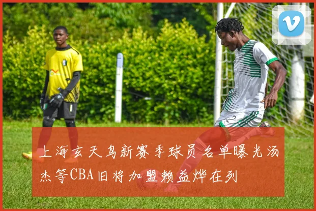 上海玄天鸟新赛季球员名单曝光汤杰等CBA旧将加盟赖益烨在列